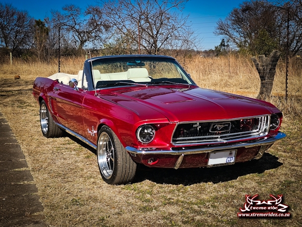 Mustang